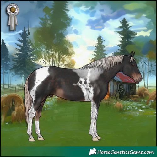 Horse Color:Liver Chestnut Mushroom Tobiano