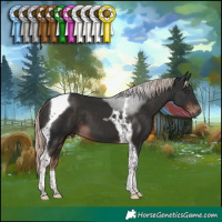 Horse Color:Liver Chestnut Mushroom Tobiano 