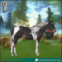 Horse Color:Liver Chestnut Mushroom Tobiano 
