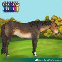 Horse Color:Buckskin