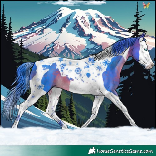 Horse Color:Watercolor Brown Splash Tobiano