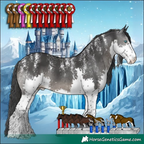 Horse Color:Powder White Black Splash