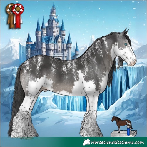 Horse Color:Powder White Black Splash 