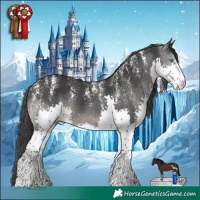 Horse Color:Powder White Black Splash 