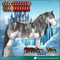 Horse Color:Powder White Black Splash