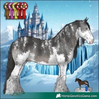 Horse Color:Powder White Black Splash 