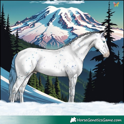 Horse Color:Watercolor White Spotted Brown Splash Tobiano 