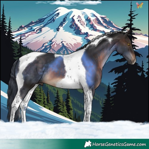 Horse Color:Brown Tobiano