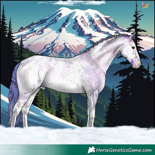 Horse Color:Watercolor White Spotted Brown Roan Onyx Appaloosa