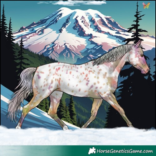 Horse Color:Nacre White Spotted Silver Buckskin Dun Appaloosa 