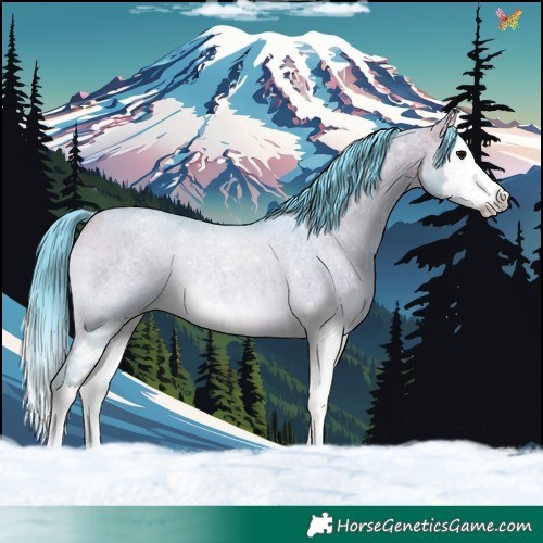 Horse Color:Watercolor Buckskin Roan Onyx Splash 