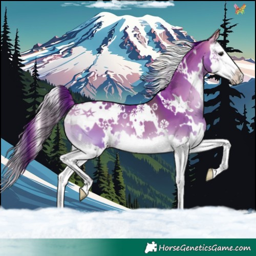 Horse Color:White Spotted Buckskin Onyx Splash