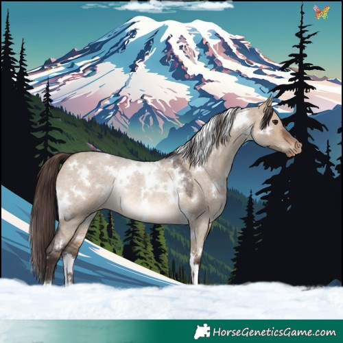Horse Color:White Spotted Bay Roan Dun Appaloosa Rabicano