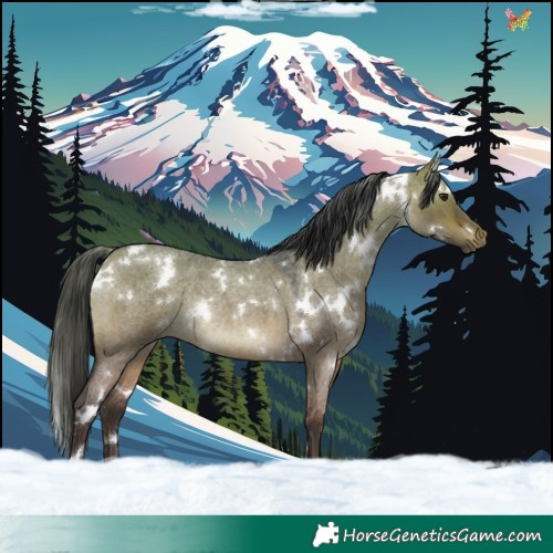 Horse Color:White Spotted Bay Roan Dun Rabicano 