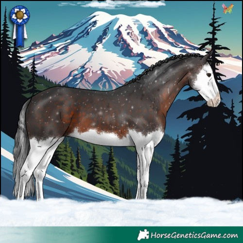 Horse Color:Brown Splash