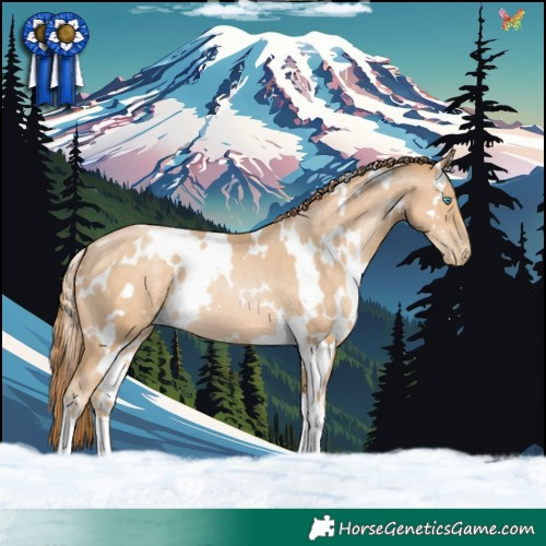 Horse Color:White Spotted Buckskin Pearl