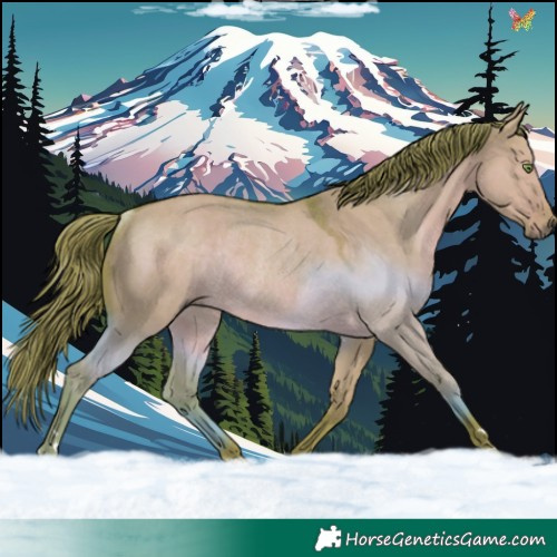 Horse Color:Watercolor Liver Red Dun Rabicano