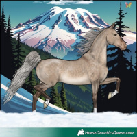 Horse Color:Silver Brown Dun Appaloosa