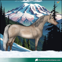 Horse Color:Silver Brown Dun Appaloosa 