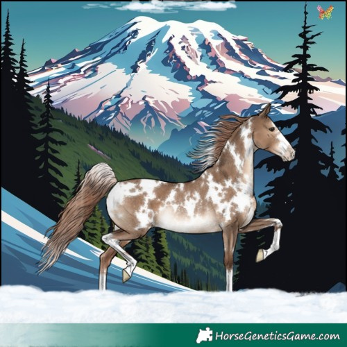 Horse Color:White Spotted Liver Red Dun Rabicano 