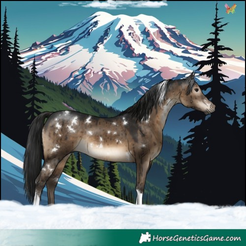 Horse Color:Gray White Spotted Brown Dun Tobiano Rabicano Brindle 
