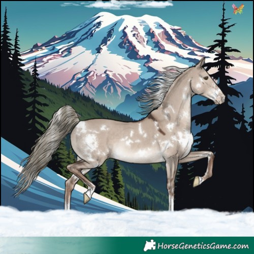 Horse Color:White Spotted Liver Red Dun Mushroom Sabino Rabicano