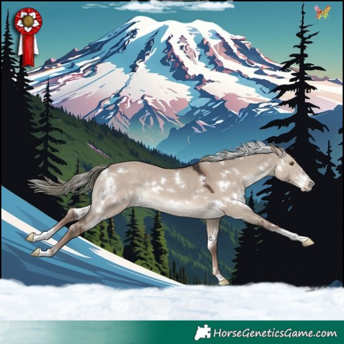 Horse Color:White Spotted Liver Red Dun Mushroom Sabino Rabicano