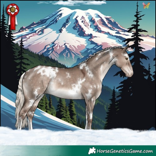 Horse Color:White Spotted Liver Red Dun Mushroom Sabino Appaloosa Rabicano
