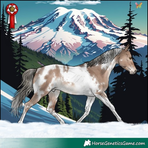 Horse Color:White Spotted Liver Red Dun Mushroom Tobiano Rabicano