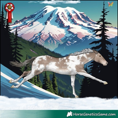 Horse Color:White Spotted Liver Red Dun Mushroom Tobiano Appaloosa Rabicano