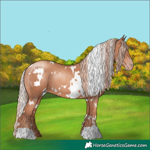 Horse Color:White Spotted Gold Champagne 