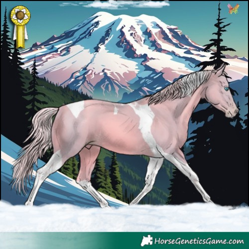 Horse Color:Watercolor Chocolate Palomino Pearl Tobiano