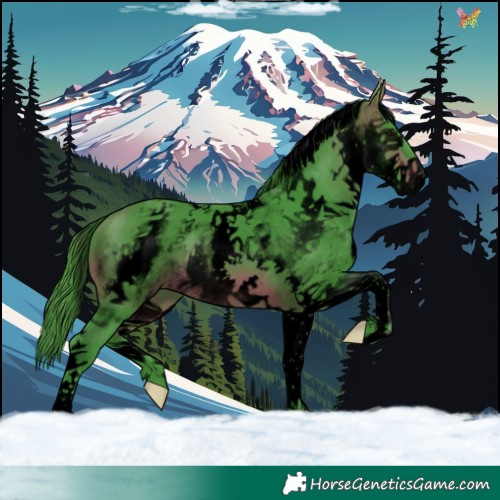 Horse Color:Void Watercolor White Spotted Brown Tobiano 