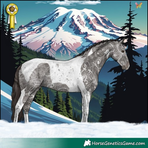 Horse Color:Liver Chestnut Ice Tobiano