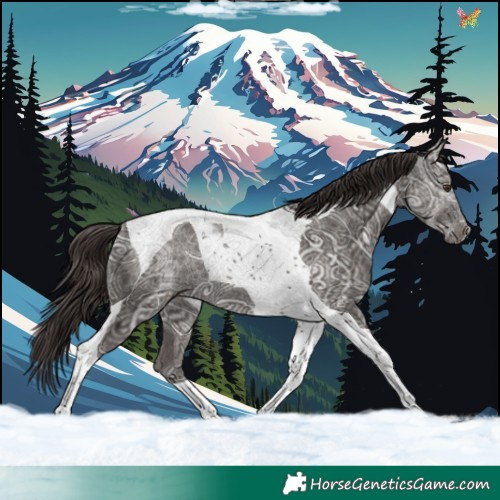 Horse Color:Liver Chestnut Ice Tobiano 