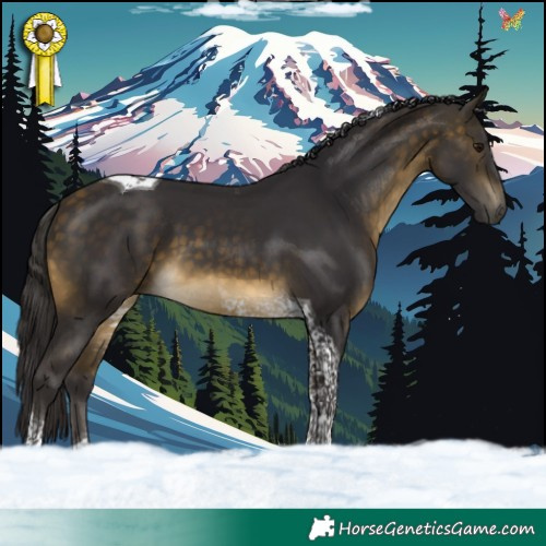 Horse Color:Buckskin Tobiano