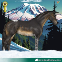Horse Color:Buckskin Tobiano