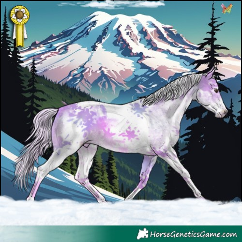 Horse Color:Watercolor White Spotted Palomino Tobiano