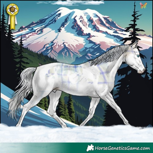 Horse Color:Plaid Silver Buckskin Pearl Onyx Splash Tobiano Appaloosa