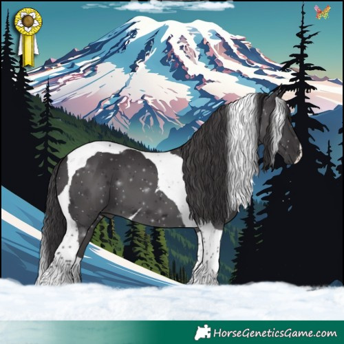 Horse Color:Smoky Black Tobiano