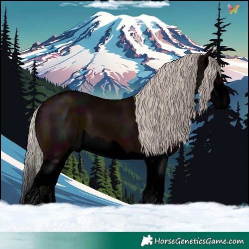 Horse Color:Void Midnight Silver Brown Splash