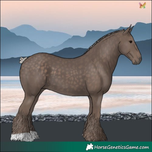 Horse Color:Silver Black 