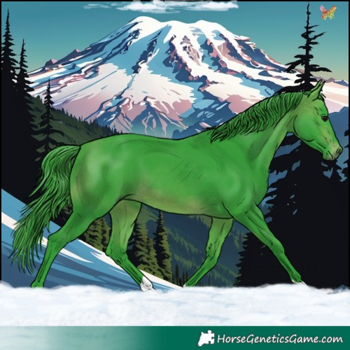 Horse Color:Watercolor Brown 