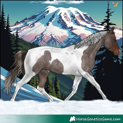 Horse Color:Liver Red Roan Tobiano 