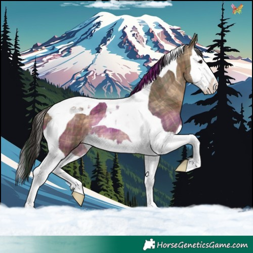 Horse Color:Plaid Brown Dun Splash Tobiano Rabicano