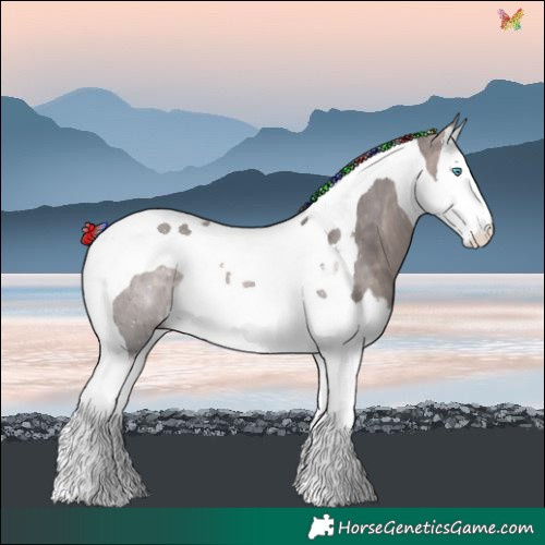 Horse Color:Platinum Painted Bay Dun Splash Tobiano Rabicano 