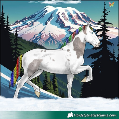Horse Color:Platinum Painted Bay Dun Splash Tobiano Rabicano