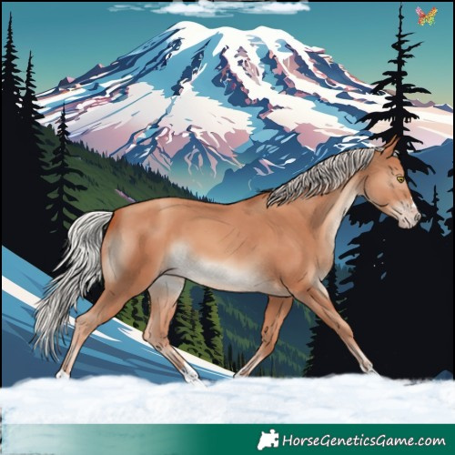 Horse Color:Silver Sable Champagne 