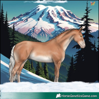 Horse Color:Silver Sable Champagne