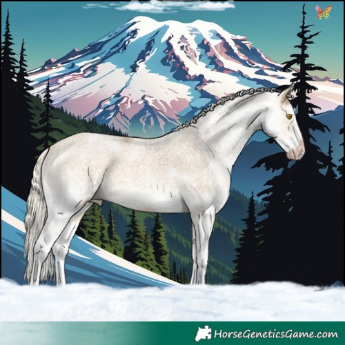 Horse Color:White Spotted Silver Buckskin
